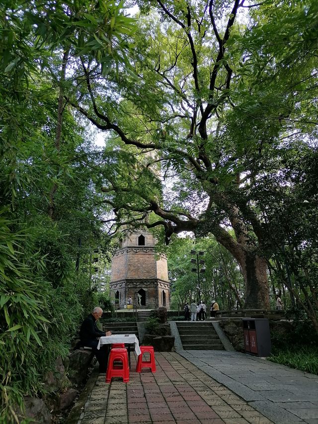 金華市浦江塔山公園丨龍德寺塔丨千年古塔。