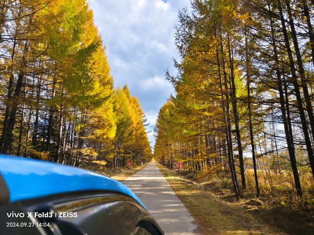 黑龍江伊春錯峰之旅。