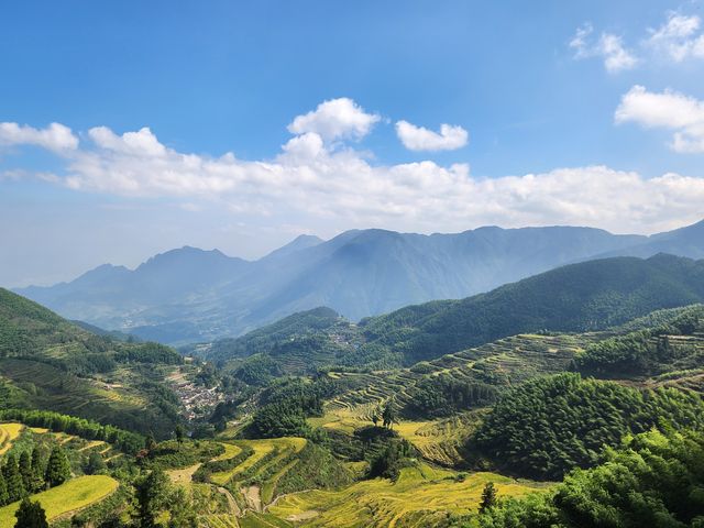 秋天的麗水。