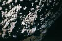 格列雷火山下異域星球上地心探洞。