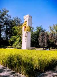 免費的北坞公園，拍攝水稻、交通攻略。
