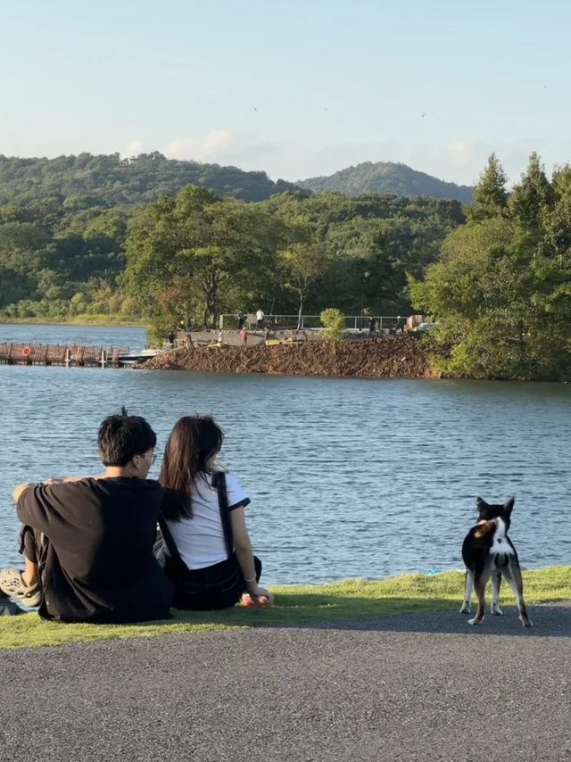 南京小眾遛娃公園 citywalk 好去處——佛手湖野郊。