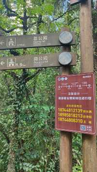 喀斯特世界自然遺產地——施秉雲台山。