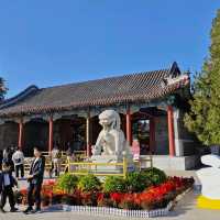 Summer Palace Autumn Stroll