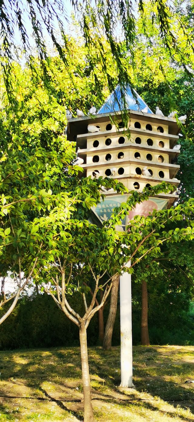 濱州市最大的公園——中海公園。