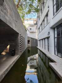 廣東佛山美的鷺湖半山湯谷‖一個隱藏在城市中的自然秘境。