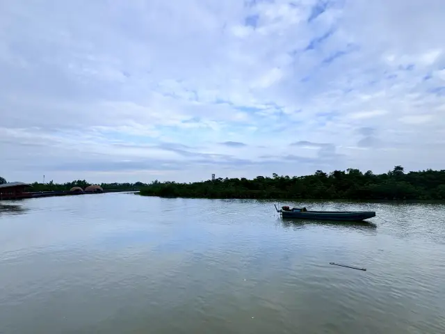 Dongzhai Port Mangrove Forest