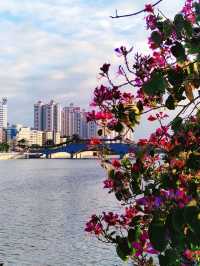 廣州增城大橋打卡全攻略：領略橋樑風采，品味增城魅力。
