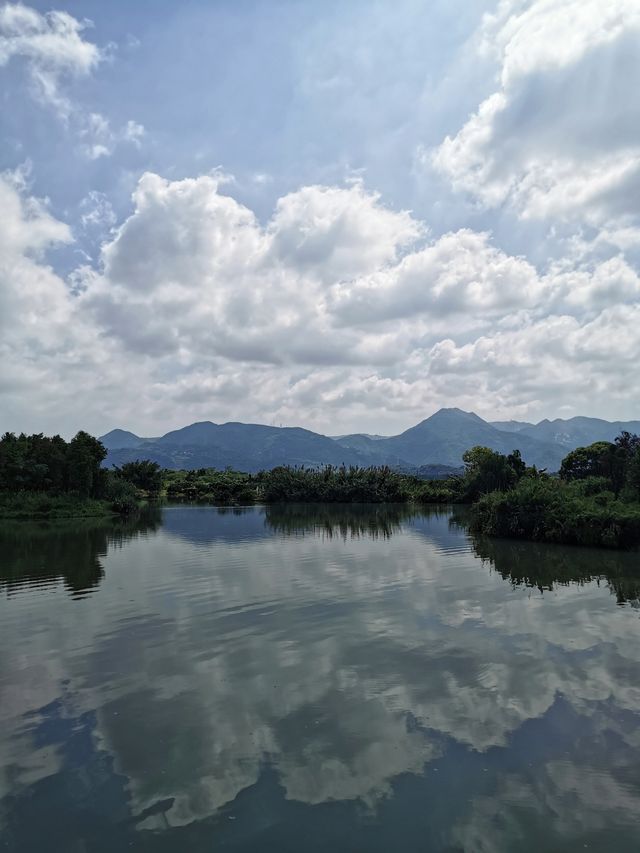 浙南威尼斯三垟濕地丨江南的夏日秘境。