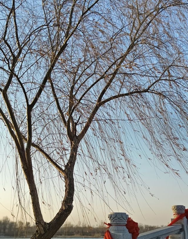 秋韻馬踏湖：金風玉露中的美食與盛景。