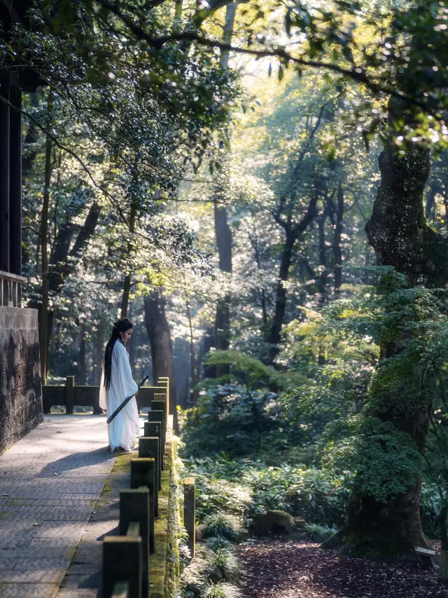 Hangzhou's Hidden Gem | Crouching Tiger, Hidden Dragon Filming Location: Yunqi Bamboo Trail