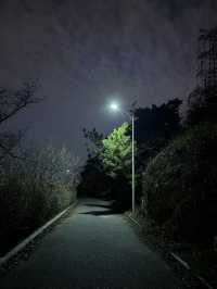 富國公園｜大連獨有的月光浪漫記憶！