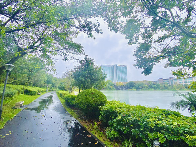 騰沖 住世紀金源大飯店