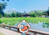 走進《紅樓夢》中的大觀園！