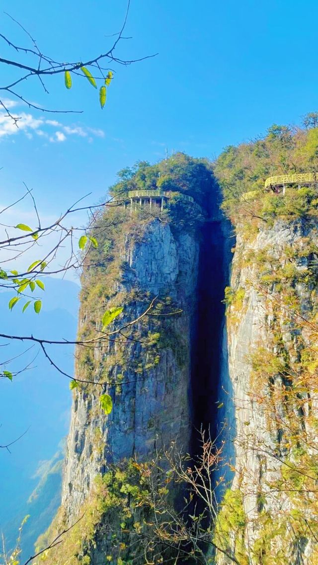 遙望天下難道不是一個隱世秘境嗎？