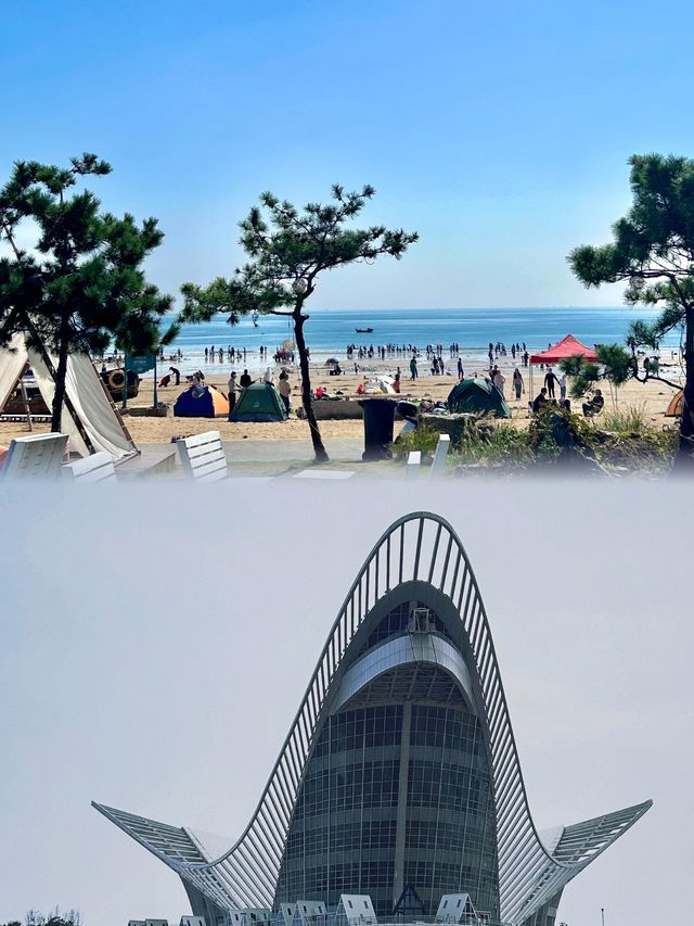 青島·金沙灘｜逐浪金沙灘，暢享濱海狂歡