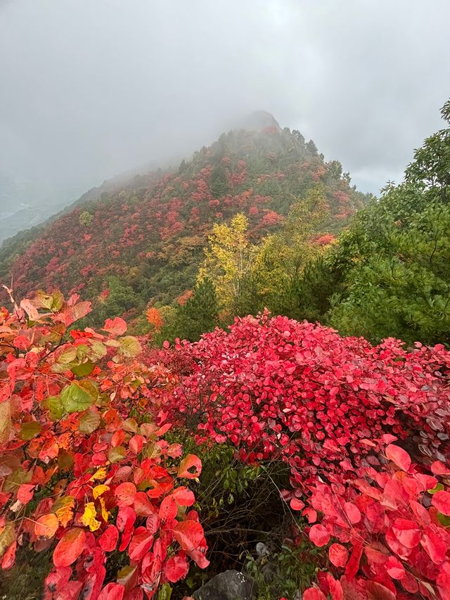遼寧阜新|海棠山•浪漫與大自然撞了個滿懷