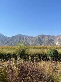 老友記心頭好內蒙古呼和浩特等地遊玩全攻略