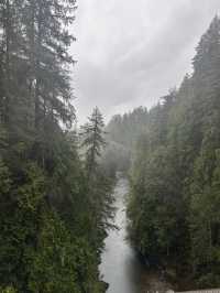 Experience the Thrill of Capilano Suspension Bridge Park