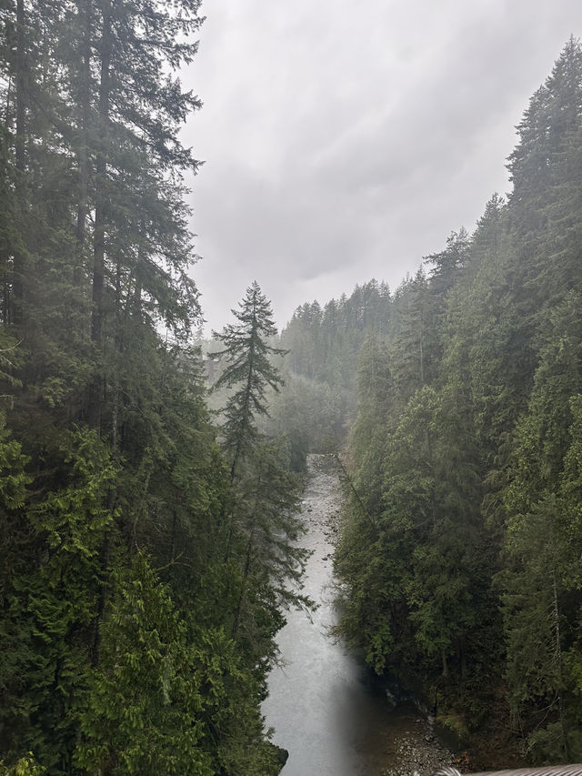 Experience the Thrill of Capilano Suspension Bridge Park