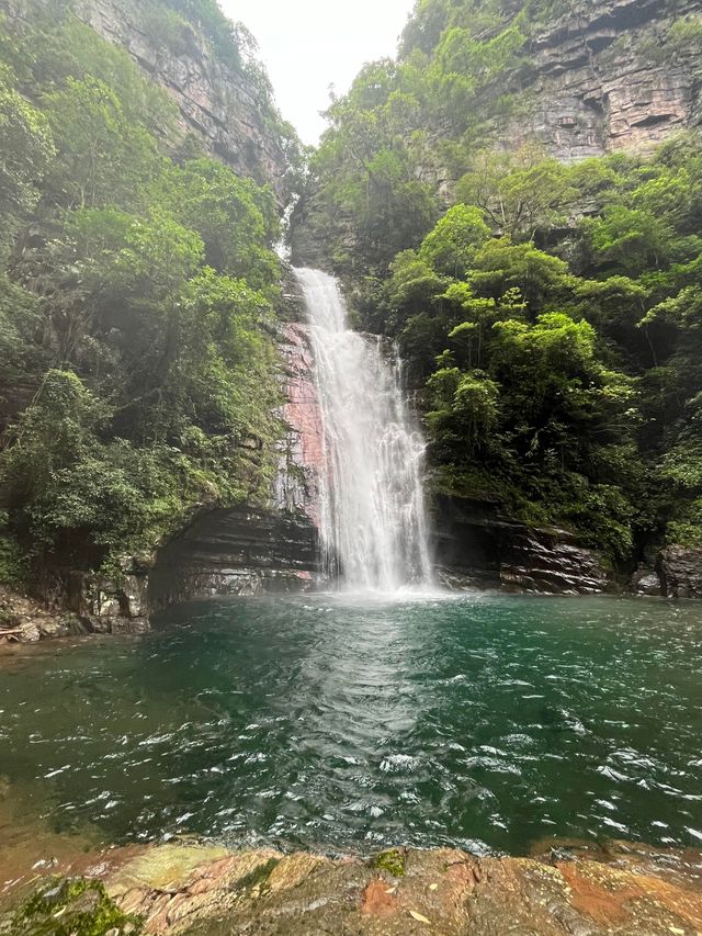廣西貴港龍潭森林公園|大自然的綠色寶藏