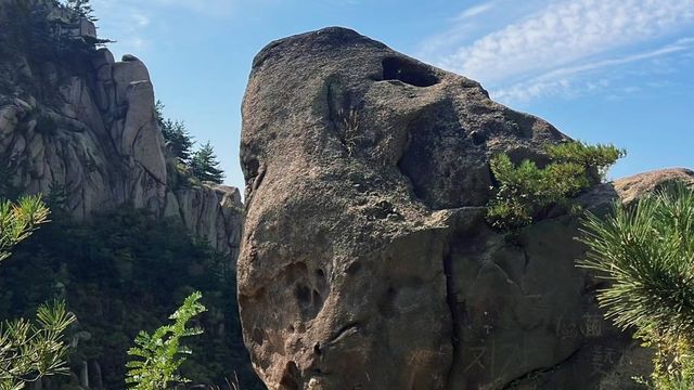 別再只知道熱門景區！臥龍山這些寶藏地等你探索！