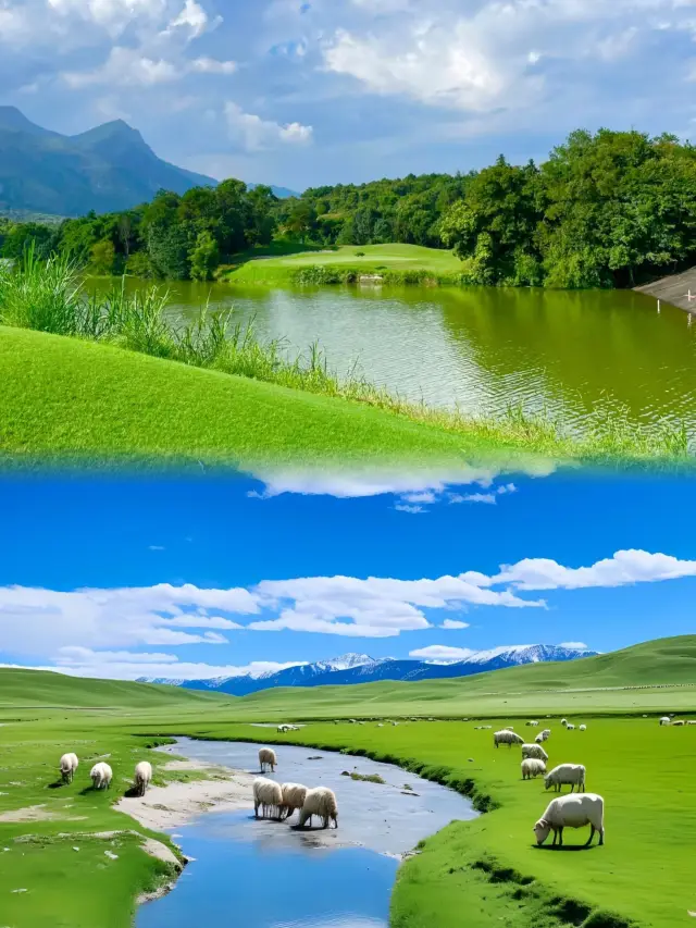 A trip to the grasslands!