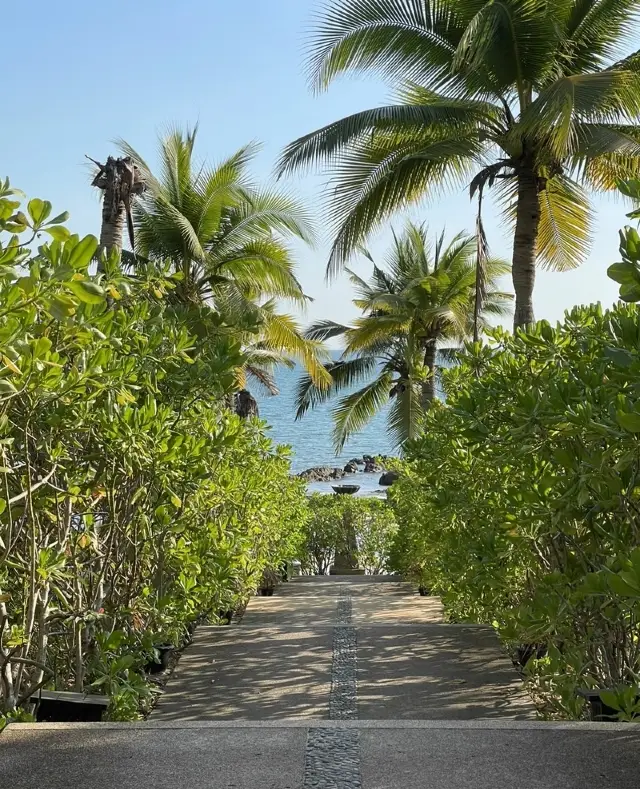 Pattaya Skydiving Tour - Rayong Marriott Resort & Spa
