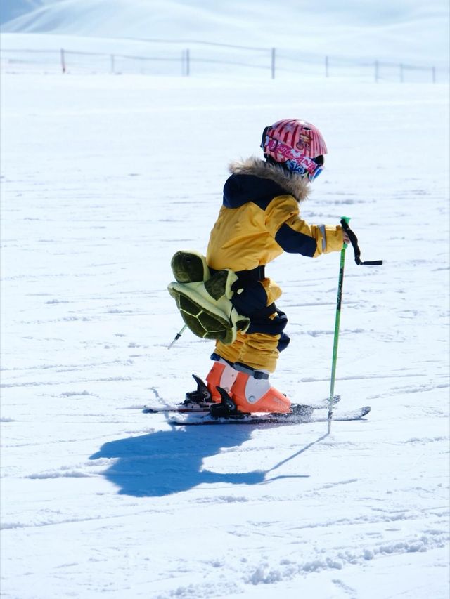 藏不住了！去了趟浙江，發朋友圈被問瘋了！