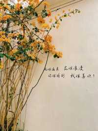珠海淇澳島的精彩一日#