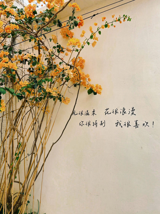 珠海淇澳島的精彩一日#