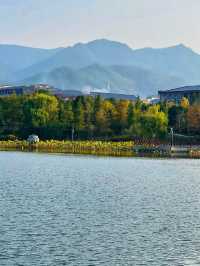 沩山風景名勝區｜自然與人文的和諧樂章