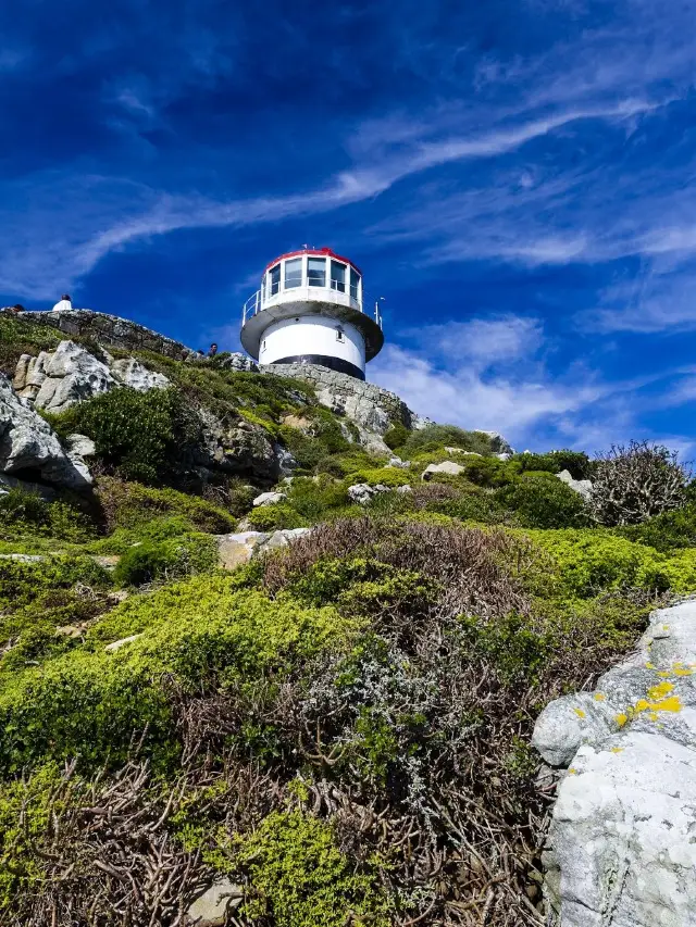 12-Day South Africa Tour: The Ultimate Guide