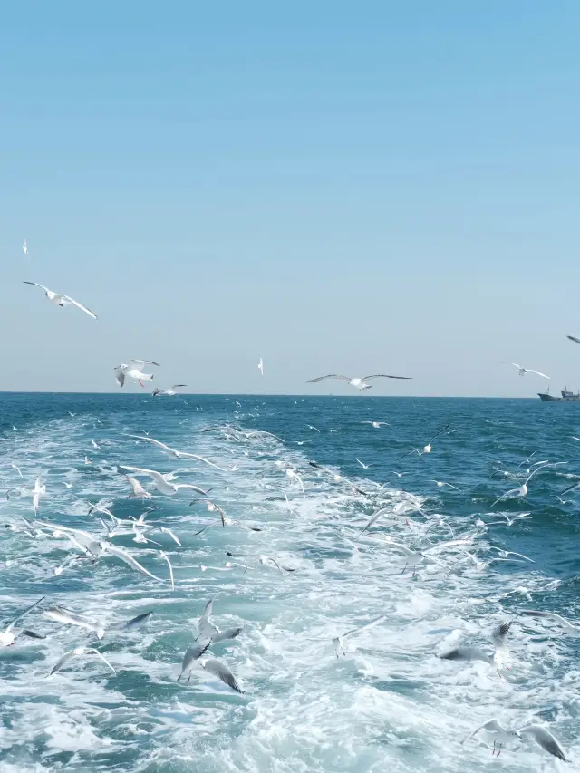 Don't Miss Out on the Ultimate Winter Vacation Guide to Tai'an, Jinan, and Qingdao!