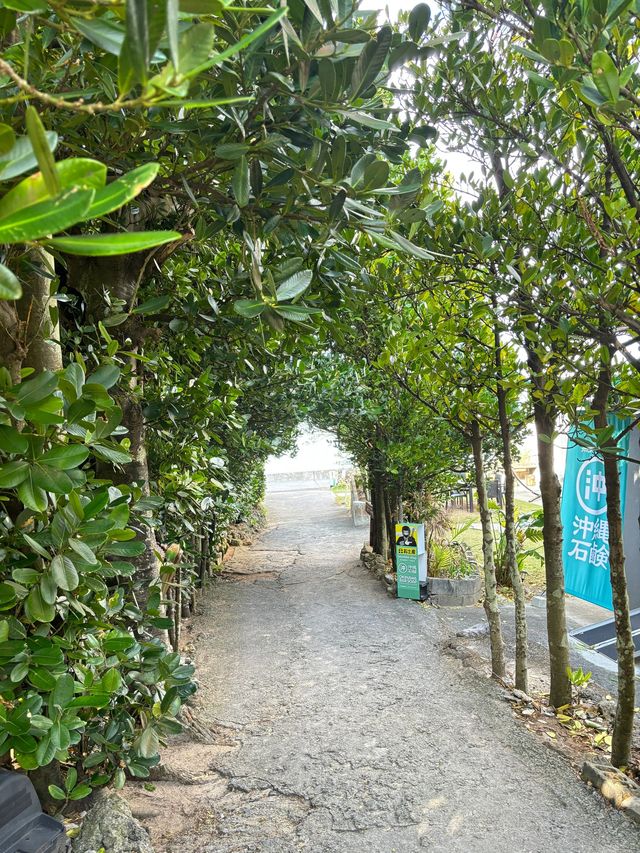 日本5日行寶典|前所未有的瘋狂體驗