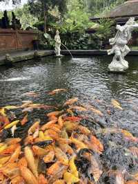 7日玩轉印度尼西亞看這篇就夠啦