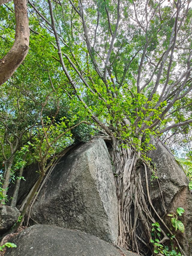 天涯海角，我又來啦