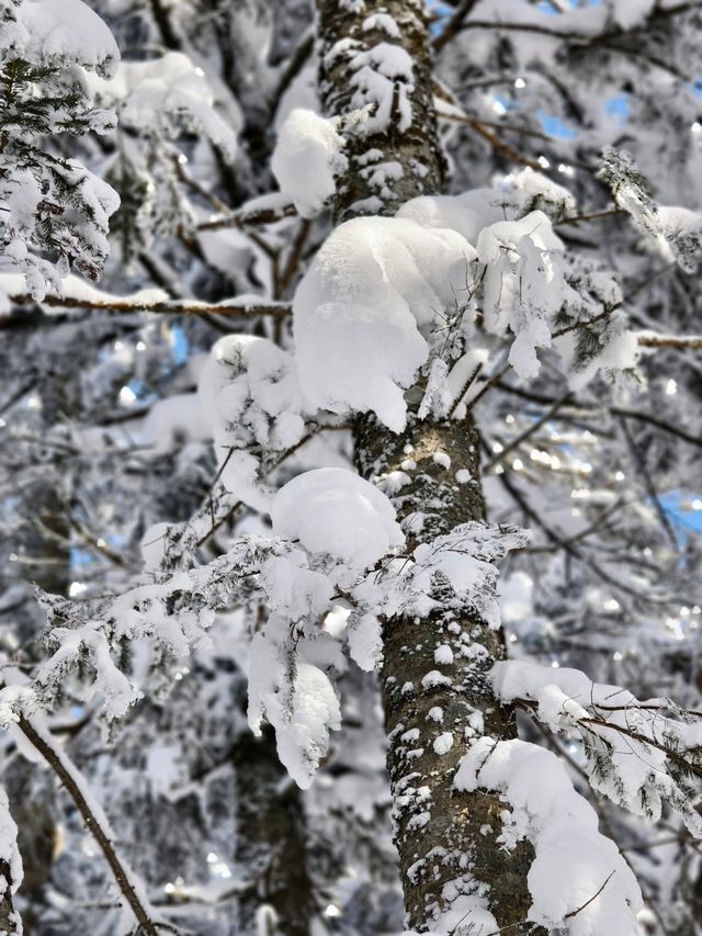 老里克湖徒步||喜歡玩雪的我很開心~~