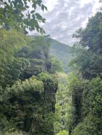 寒假玩轉武夷山 4日暢遊全攻略