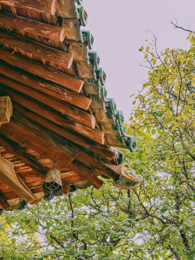 山西蒲縣東嶽廟 | 探秘小眾古建築瑰寶