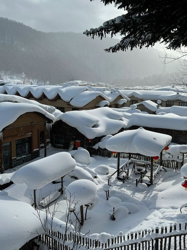 黑龍江雪鄉等地｜賞雪泡溫泉愜意過冬攻略