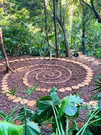 6日探秘雲南西雙版納-昆明 森林之旅太驚艷