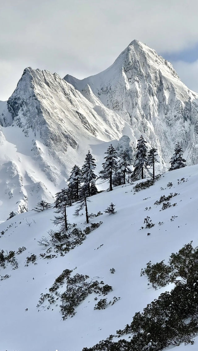 感受怒江孔雀山嘅冬日美景