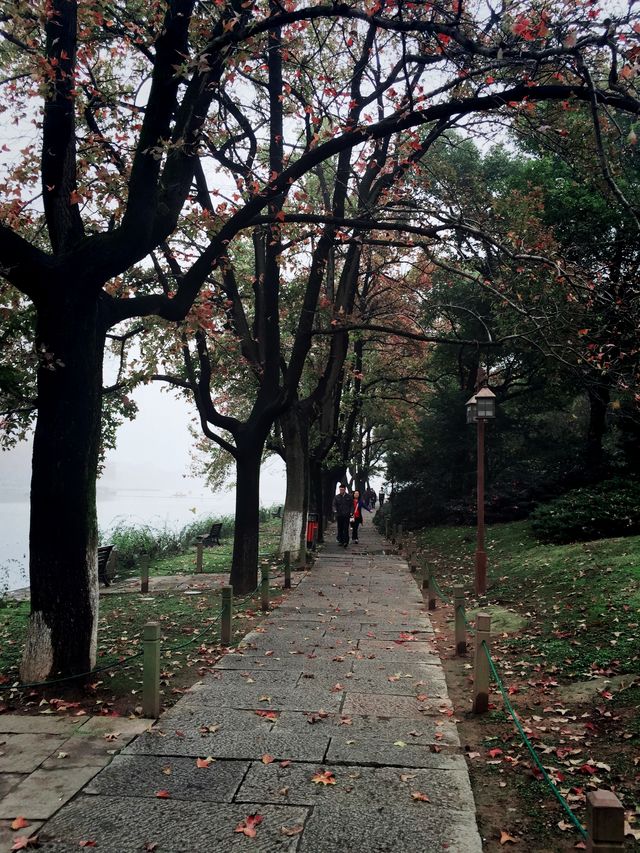 杭州市區旅遊攻略，當然要收藏