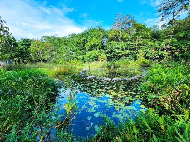 雙溪布洛濕地保護區