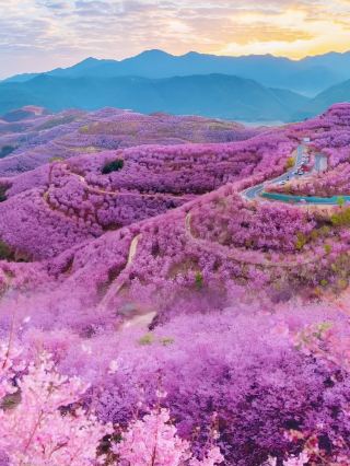 Mesmerizing! Not Japan! Right here in Fujian!