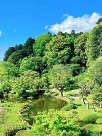 櫻花花火親歷日式浪漫春日物語～