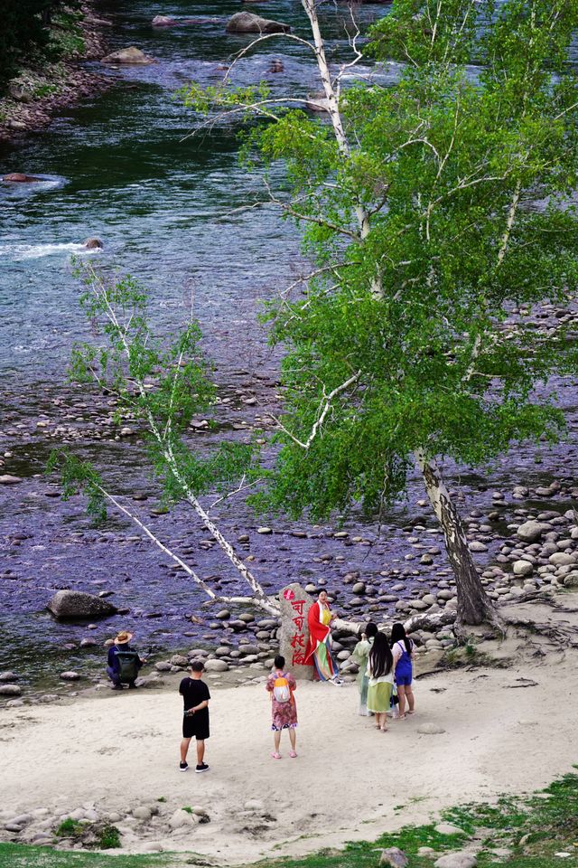 隨著歌聲在「可可托海」找「養蜂女」