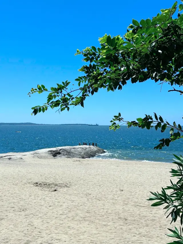 Xiamen-Gulangyu-Fujian Tulou | 7-Day Spring Outing Guide to Enjoy the Beautiful Scenery