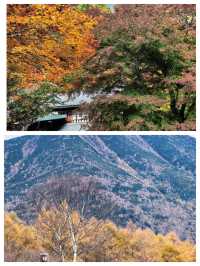 探索那須鹽原：一趟隨時出發的日本之旅